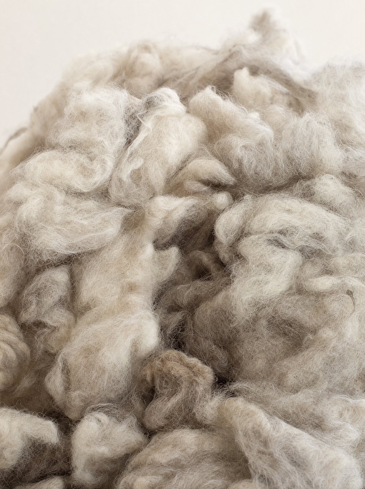 Fibres de laine brute non teinte, gros plan macro